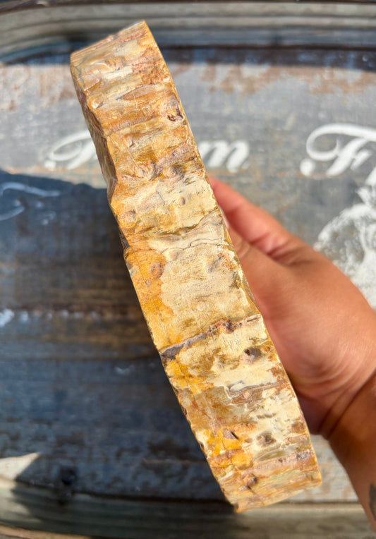 Gorgeous High Grade Petrified Wood Bowl