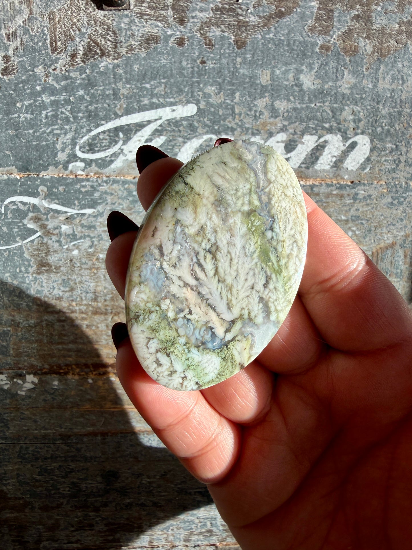 Gorgeous High Grade Moss Agate Cab | Opt R