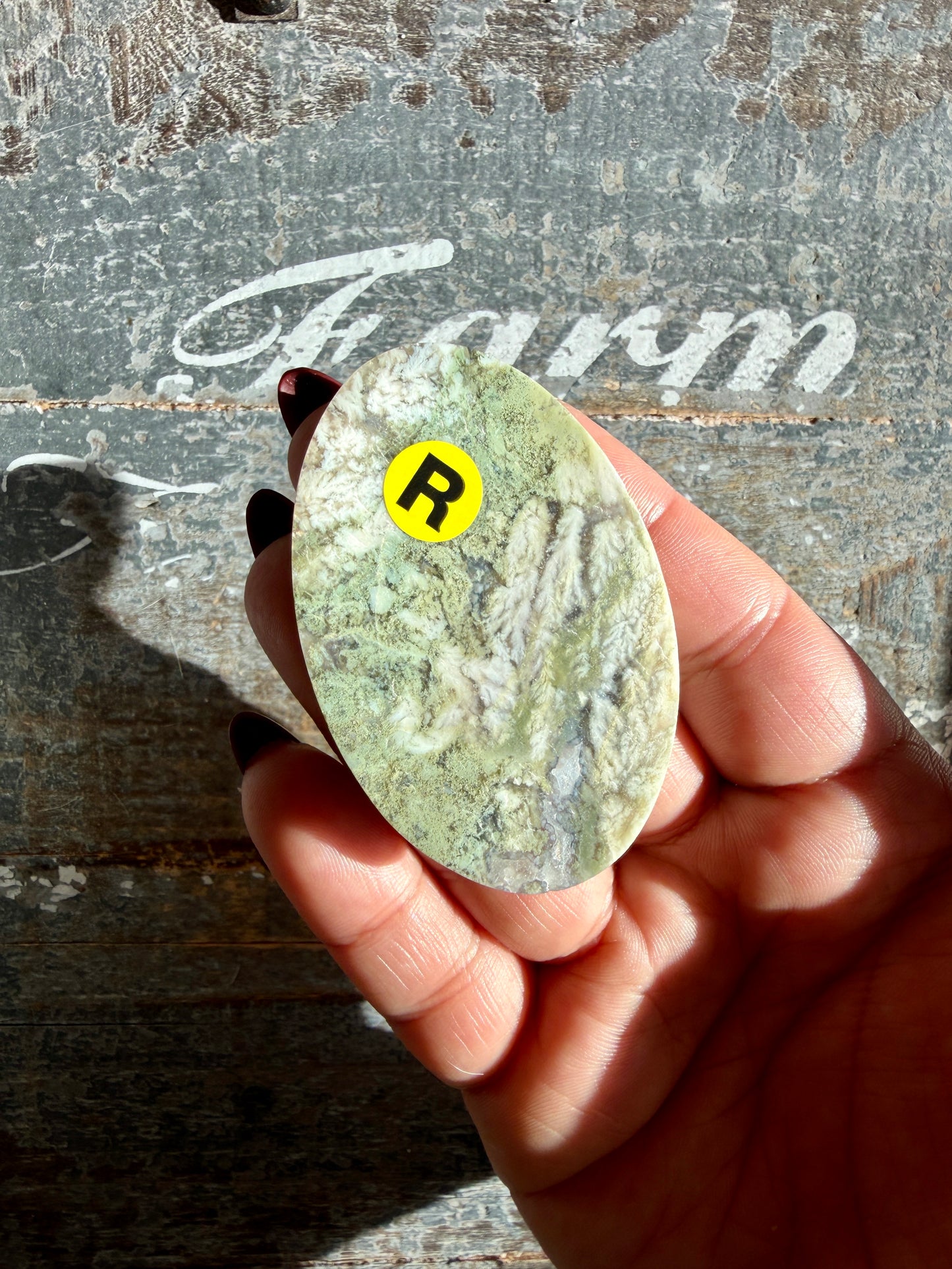 Gorgeous High Grade Moss Agate Cab | Opt R