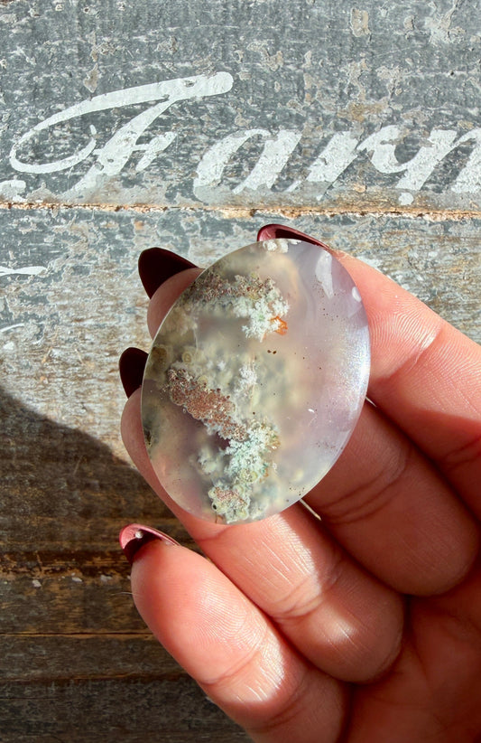 Gorgeous High Grade Moss Agate Cab | Opt K