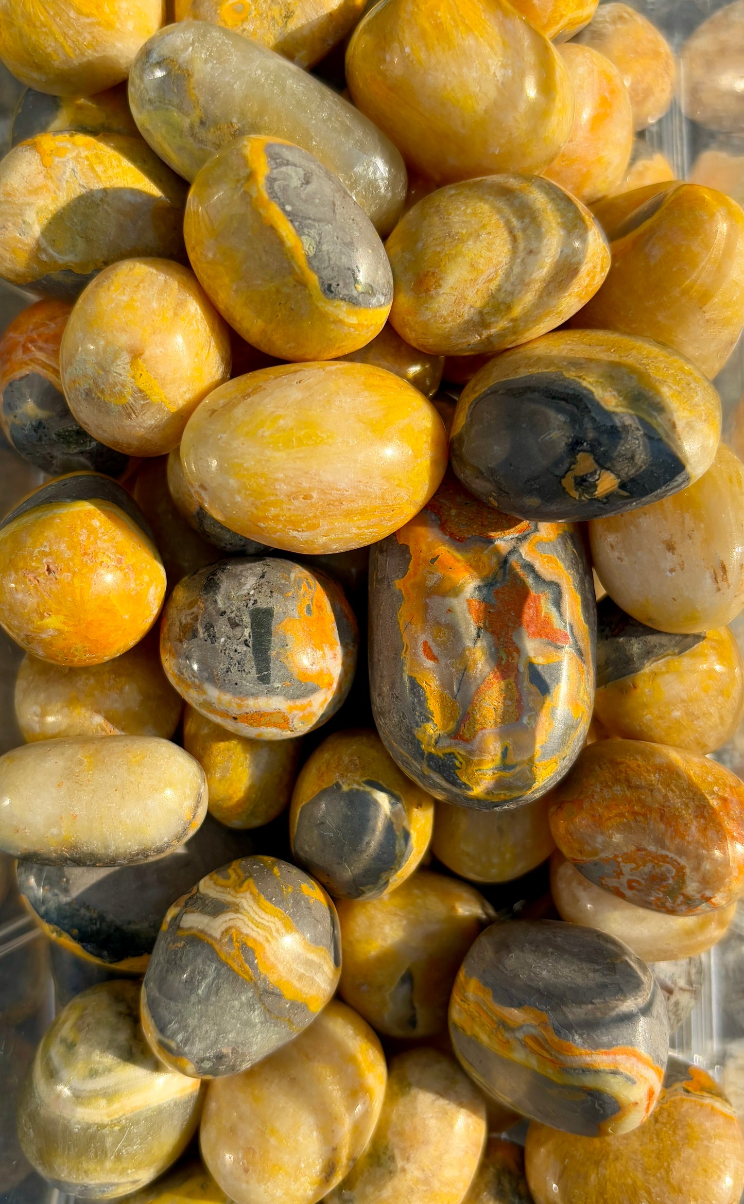 One (1) Bumble Bee Jasper Tumble | Indonesia | Intuitively Chosen