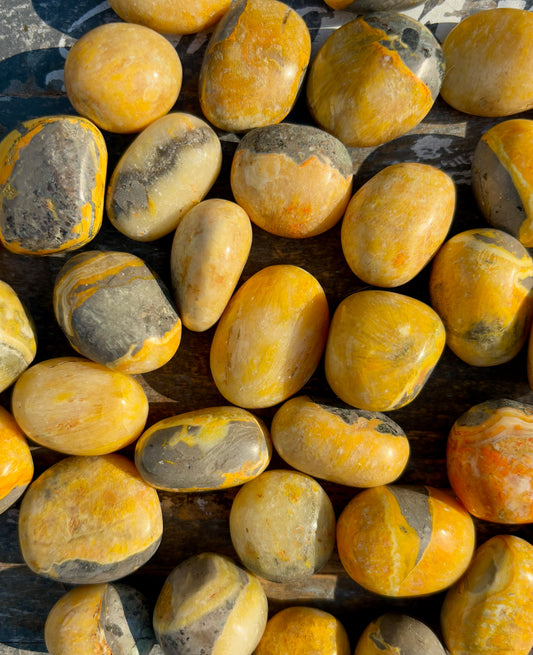 One (1) Bumble Bee Jasper Tumble | Indonesia | Intuitively Chosen