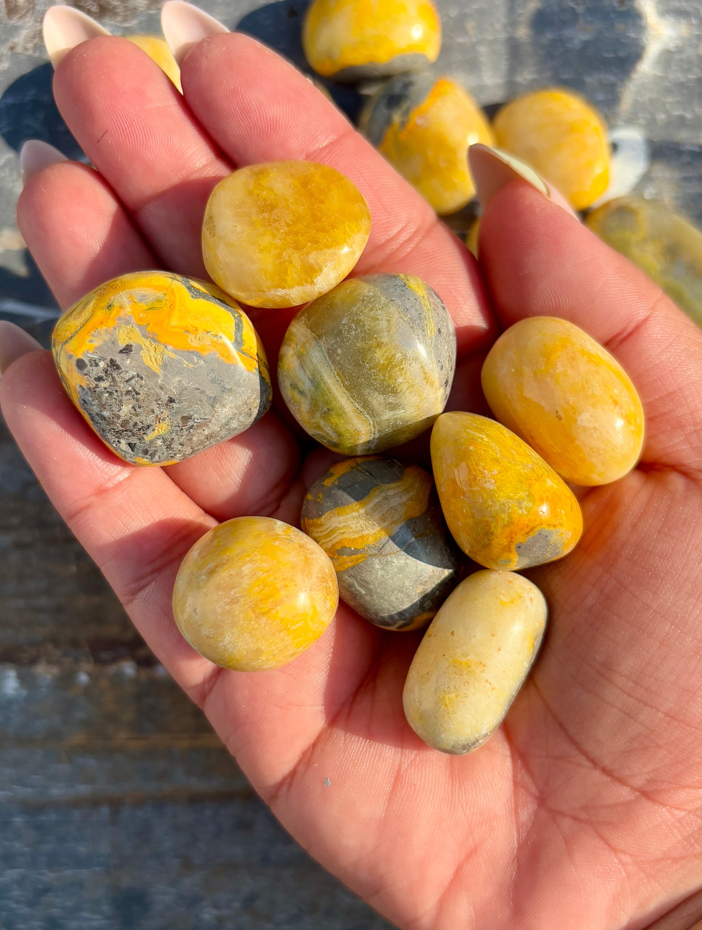 One (1) Bumble Bee Jasper Tumble | Indonesia | Intuitively Chosen