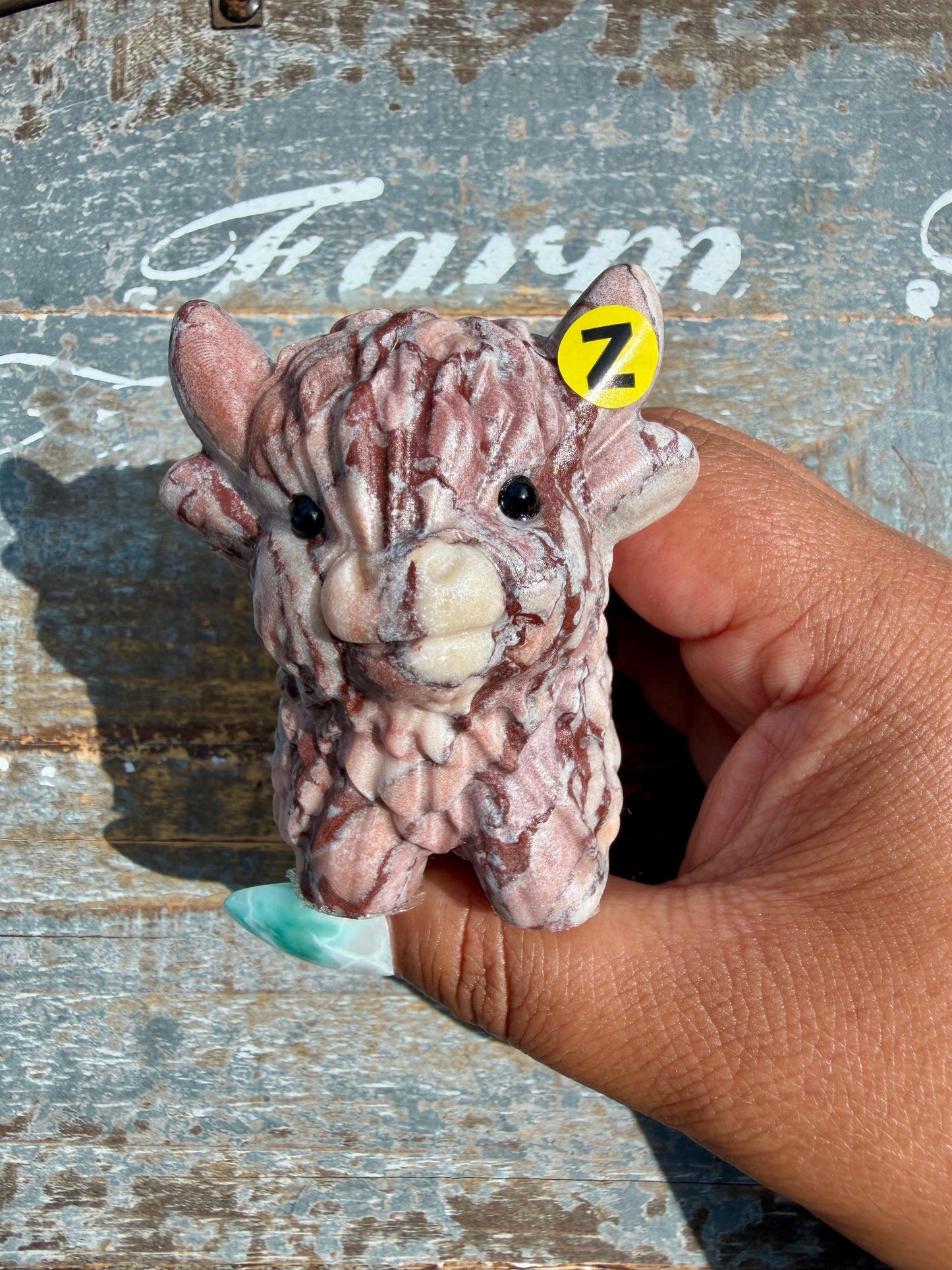 Desert Plain Jasper Highland Cow | Opt Z