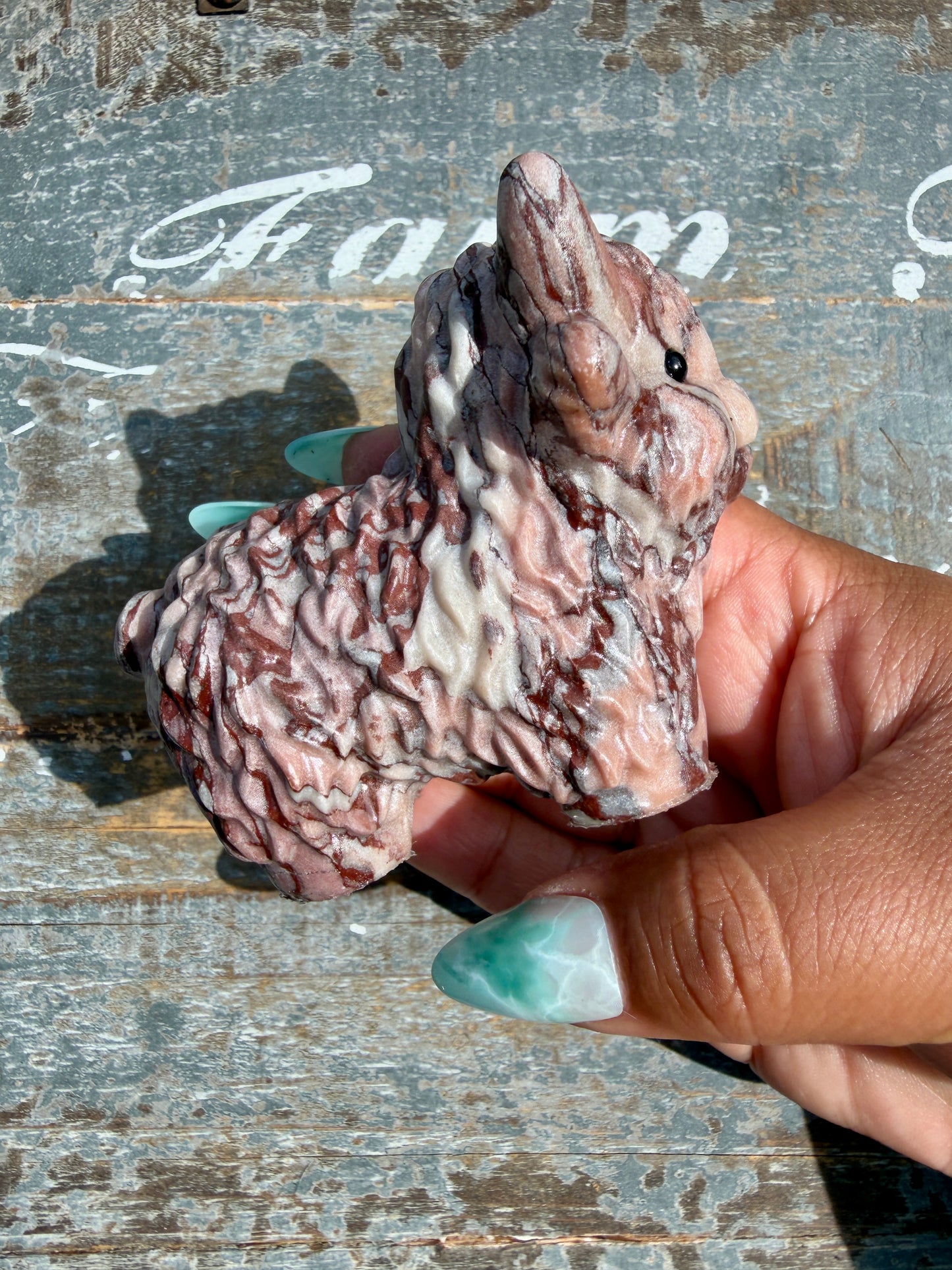 Desert Plain Jasper Highland Cow | Opt Z