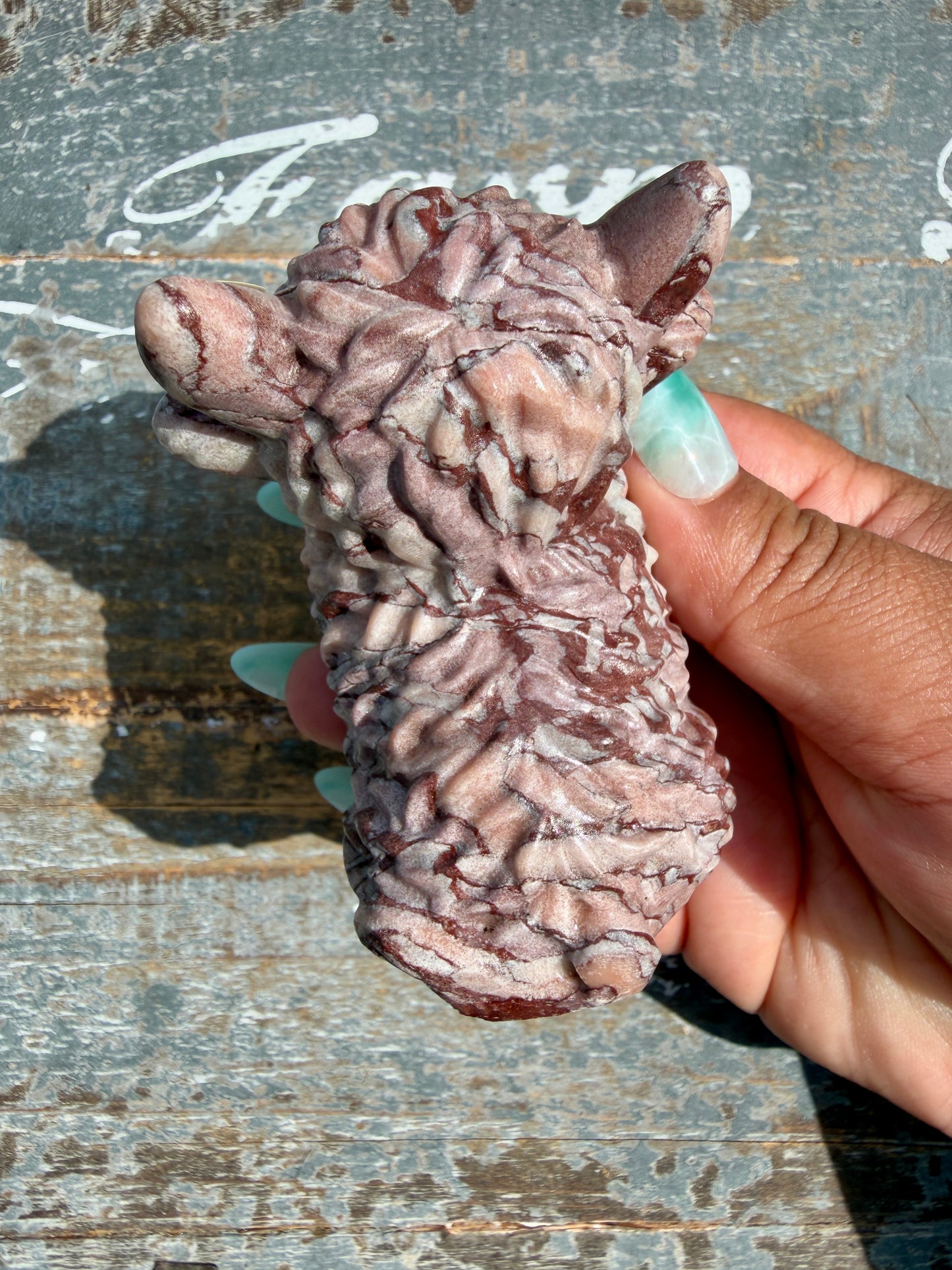 Desert Plain Jasper Highland Cow | Opt Z