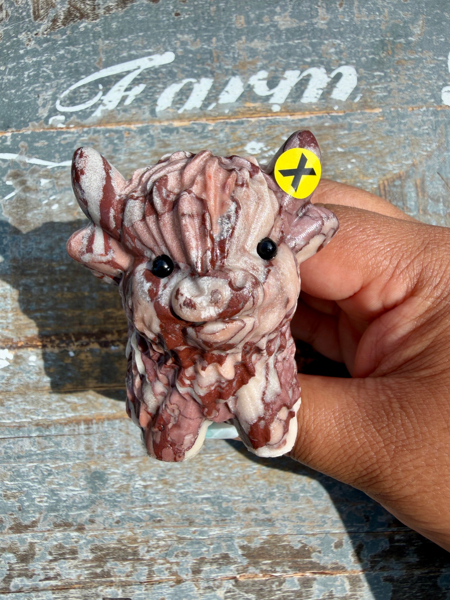 Desert Plain Jasper Highland Cow | Opt X