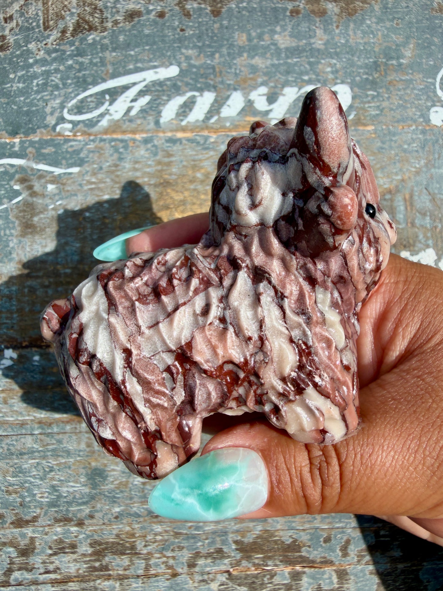 Desert Plain Jasper Highland Cow | Opt X