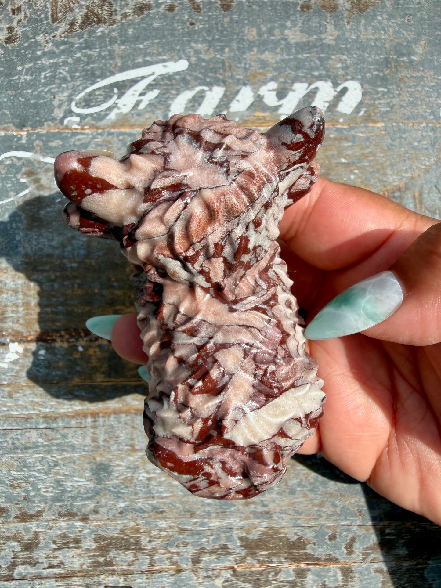 Desert Plain Jasper Highland Cow | Opt X