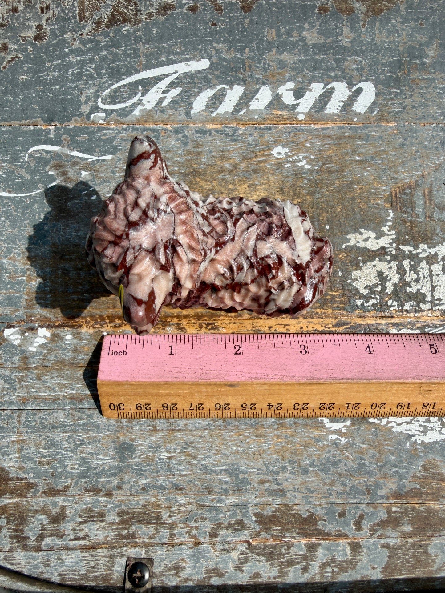 Desert Plain Jasper Highland Cow | Opt X