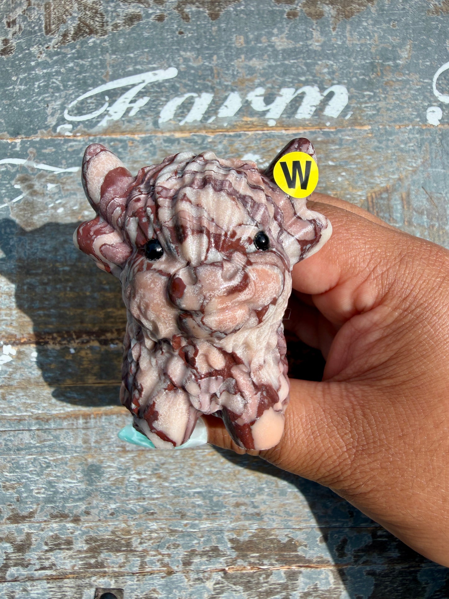 Desert Plain Jasper Highland Cow | Opt W