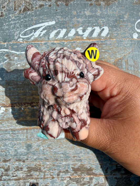 Desert Plain Jasper Highland Cow | Opt W