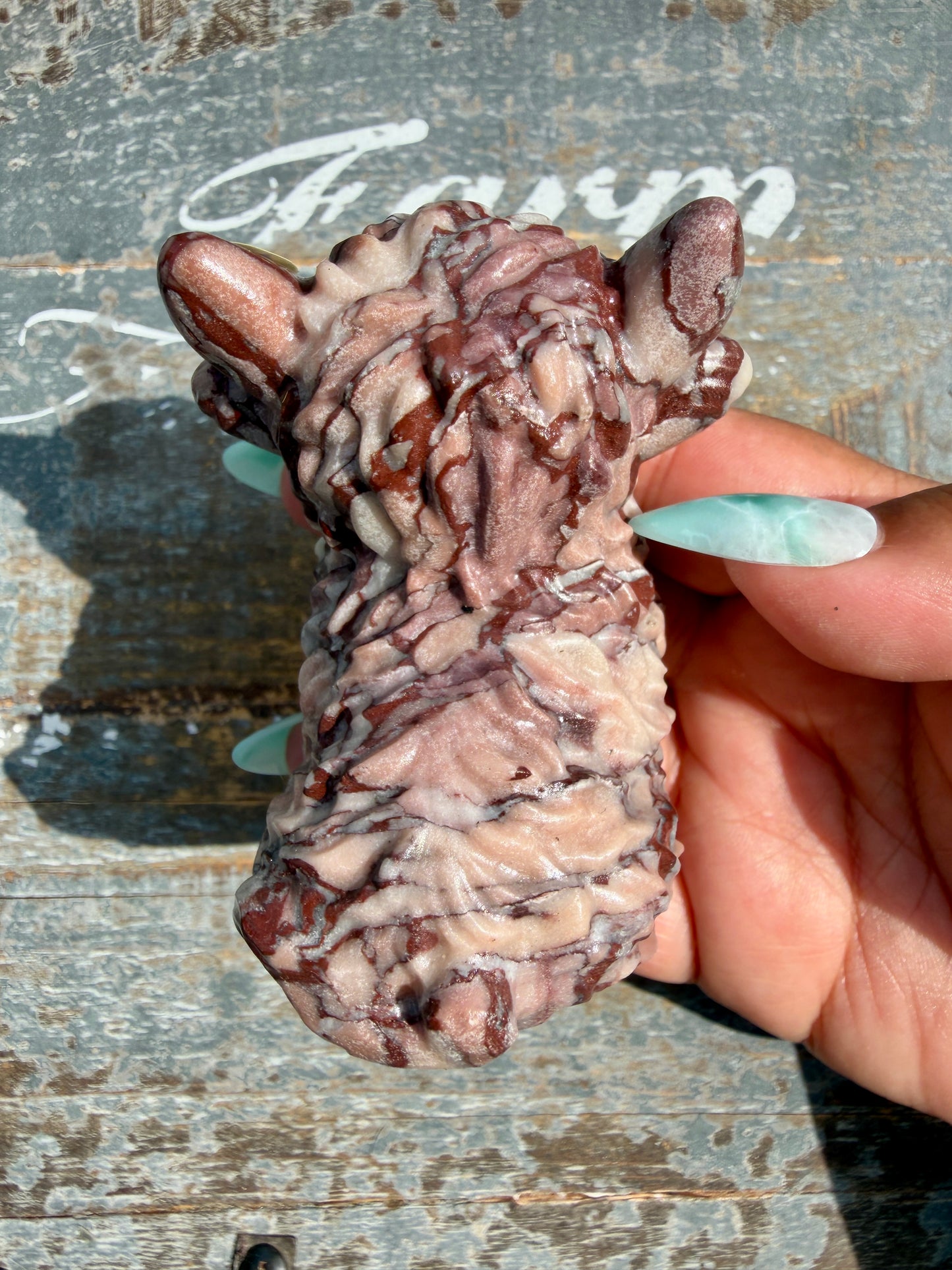Desert Plain Jasper Highland Cow | Opt W
