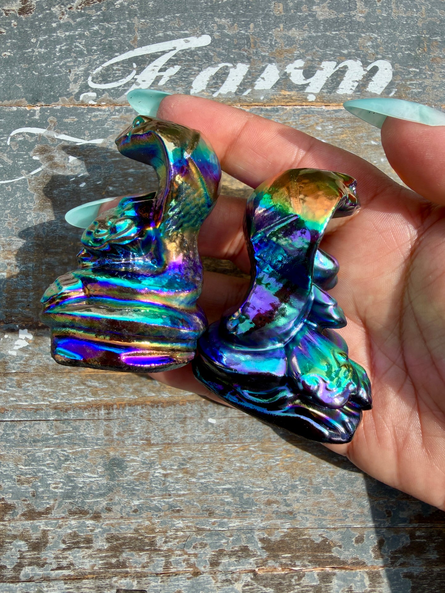 Titanium Aura Lucky Snake | Intuitively Chosen