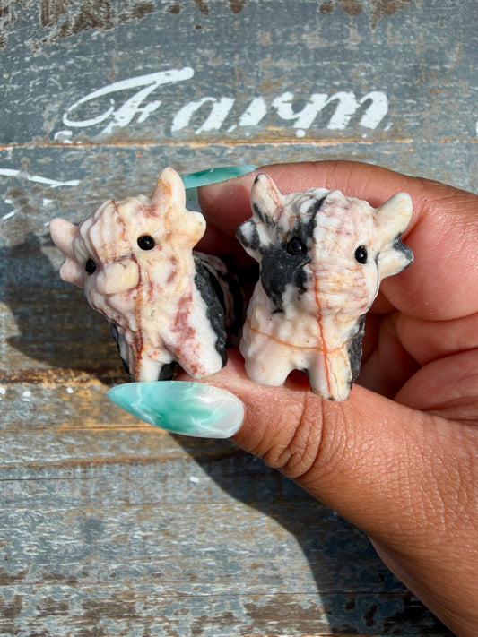 One (1) Pink Zebra Jasper Mini Highland Cow | Intuitively Chosen