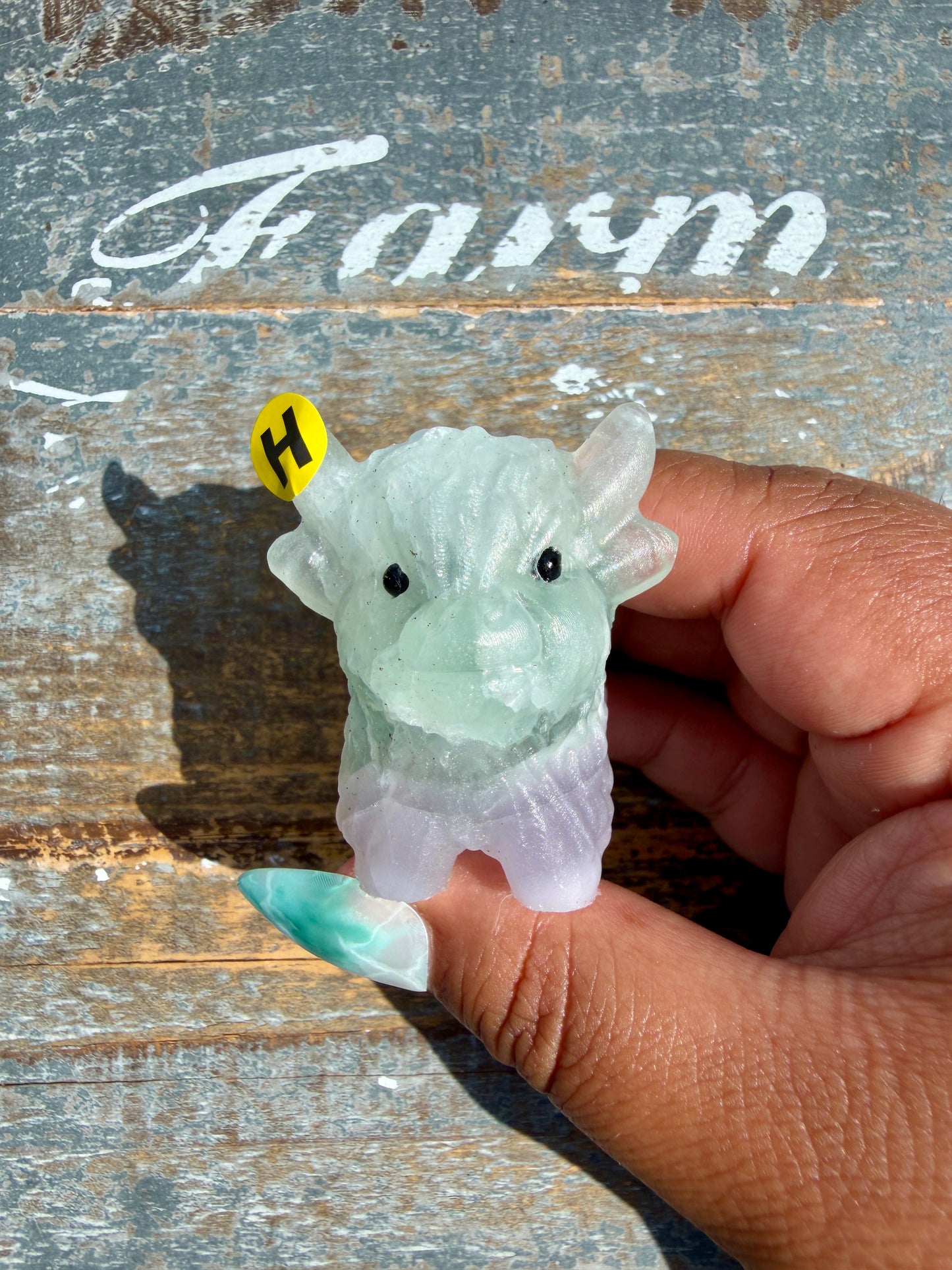 Adorable Yttrium Fluorite Highland Cow | Opt H