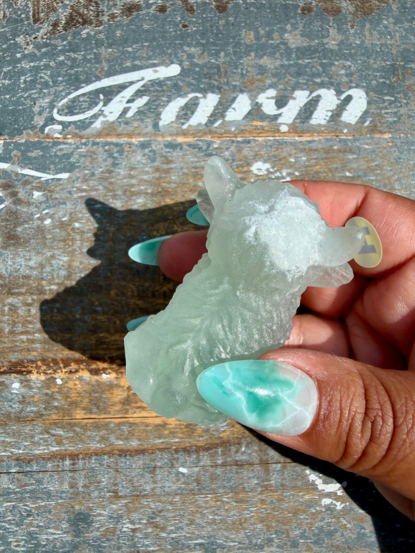 Adorable Yttrium Fluorite Highland Cow | Opt H