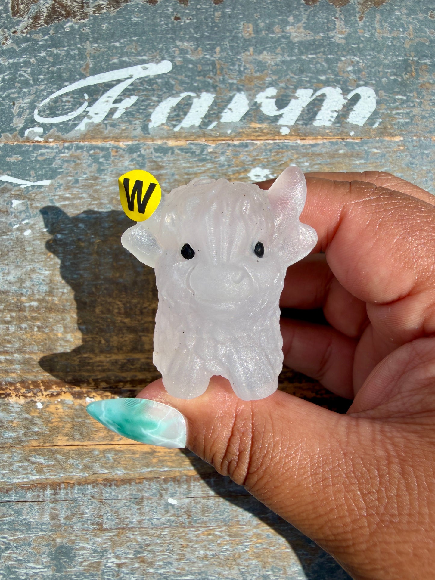 Adorable Yttrium Fluorite Highland Cow | Opt W