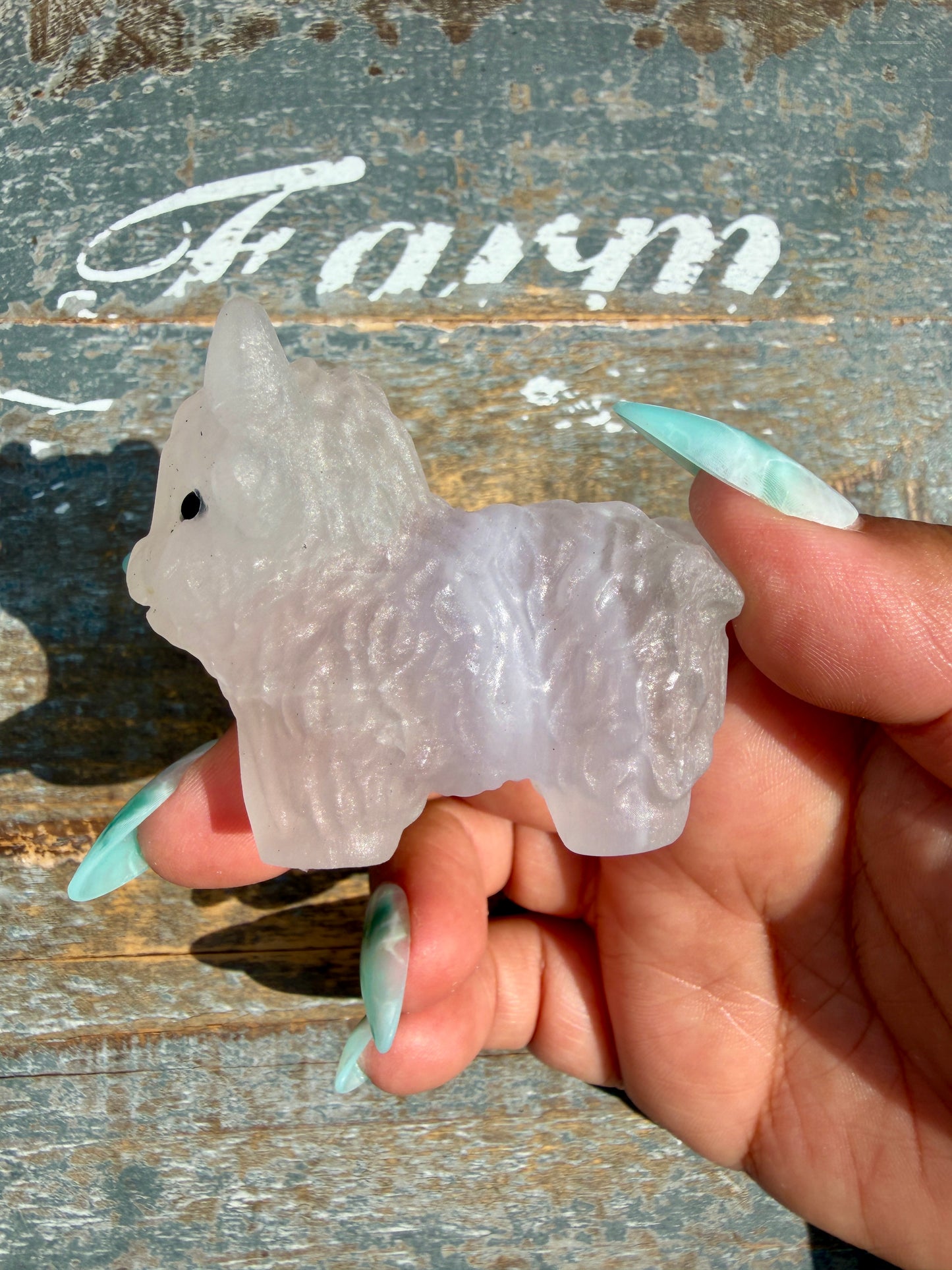 Adorable Yttrium Fluorite Highland Cow | Opt W