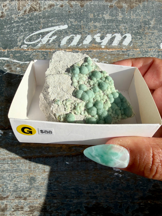 Hand-Mined Wavellite | Arkansas | Crystal Collector Find | Opt G