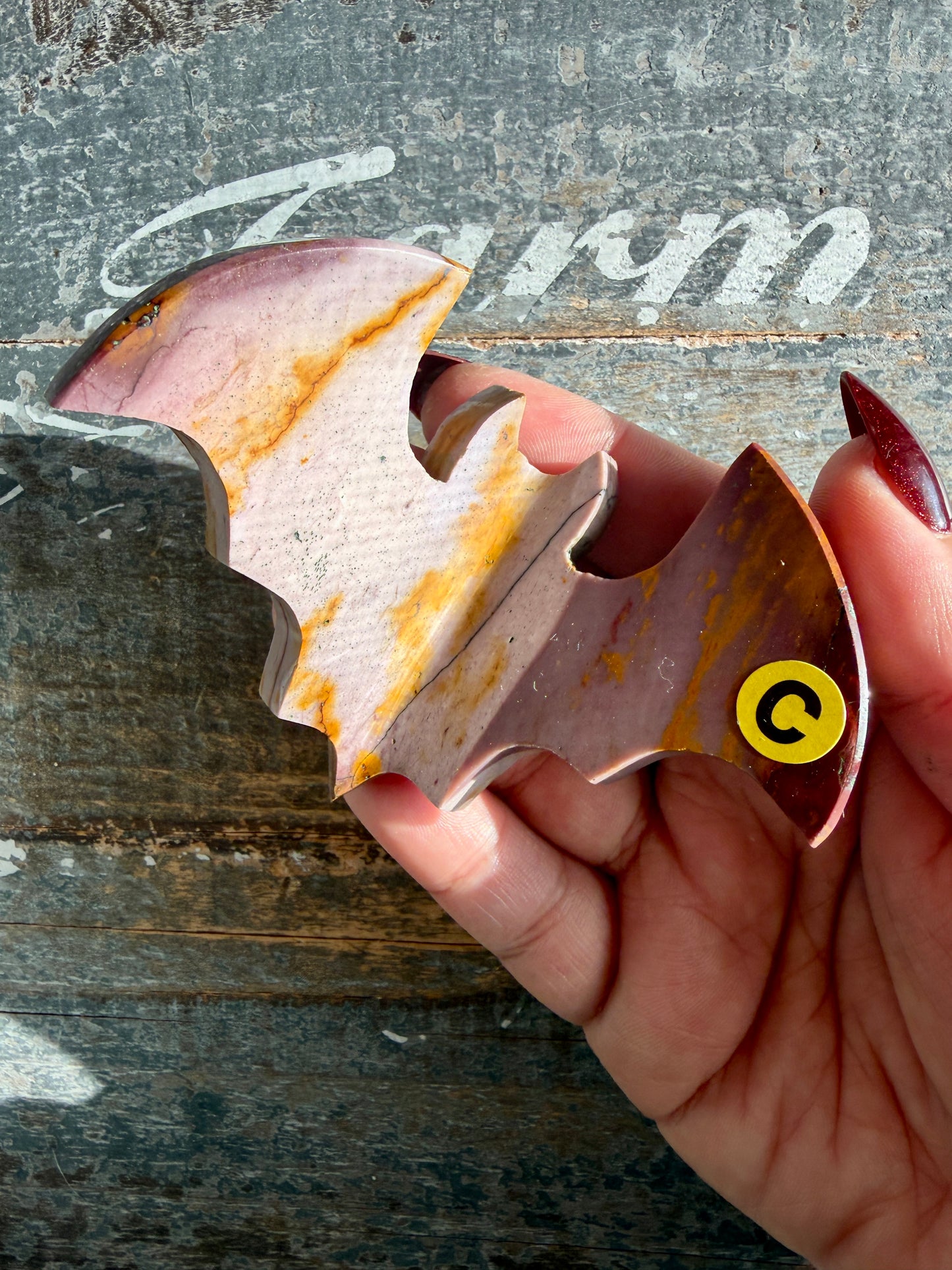 Spooky Mookaite Bat | Australia | Opt C