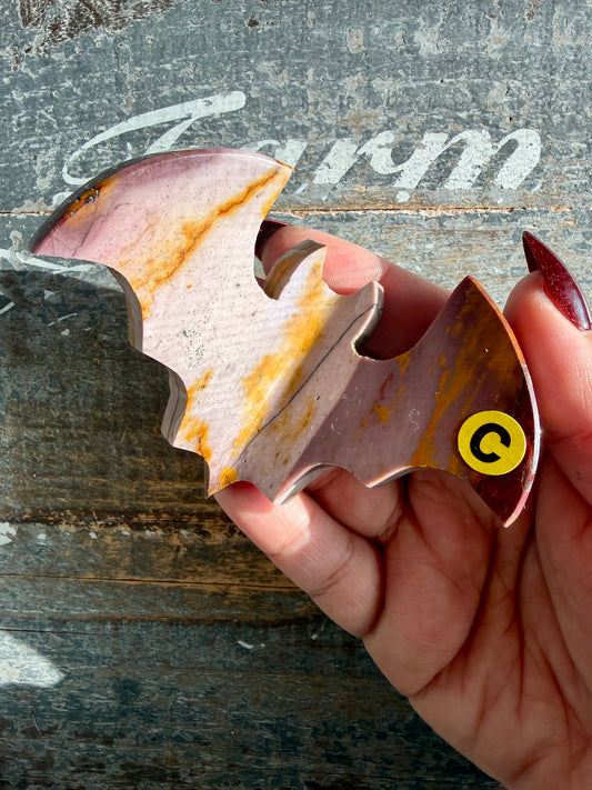 Spooky Mookaite Bat | Australia | Opt C