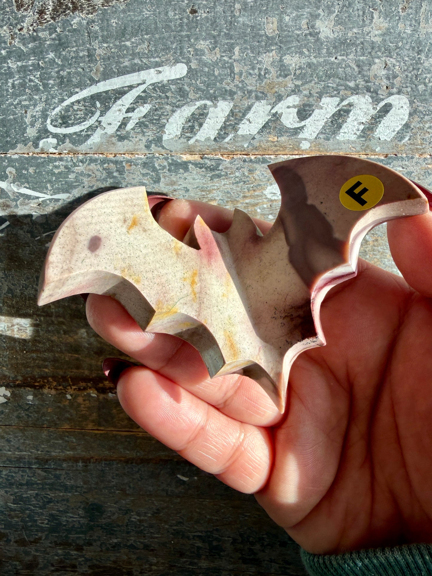 Spooky Mookaite Bat | Australia | Opt F