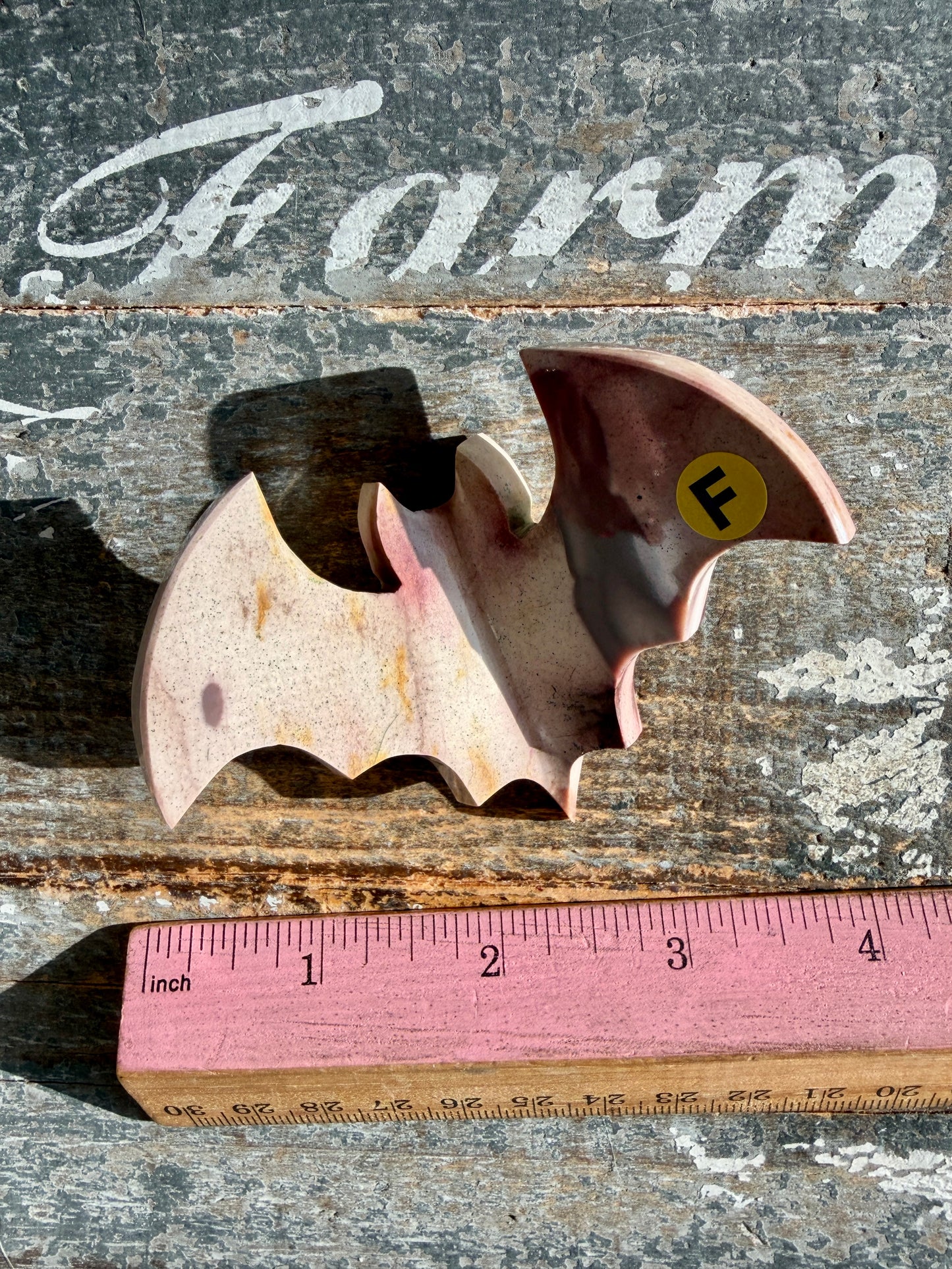 Spooky Mookaite Bat | Australia | Opt F