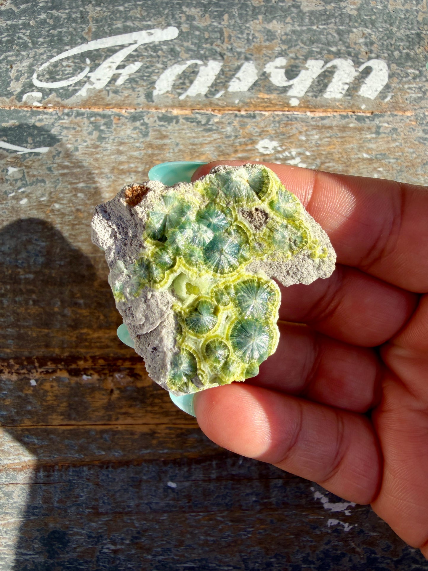 Hand-Mined Wavellite | Arkansas | Crystal Collector Find | Opt D