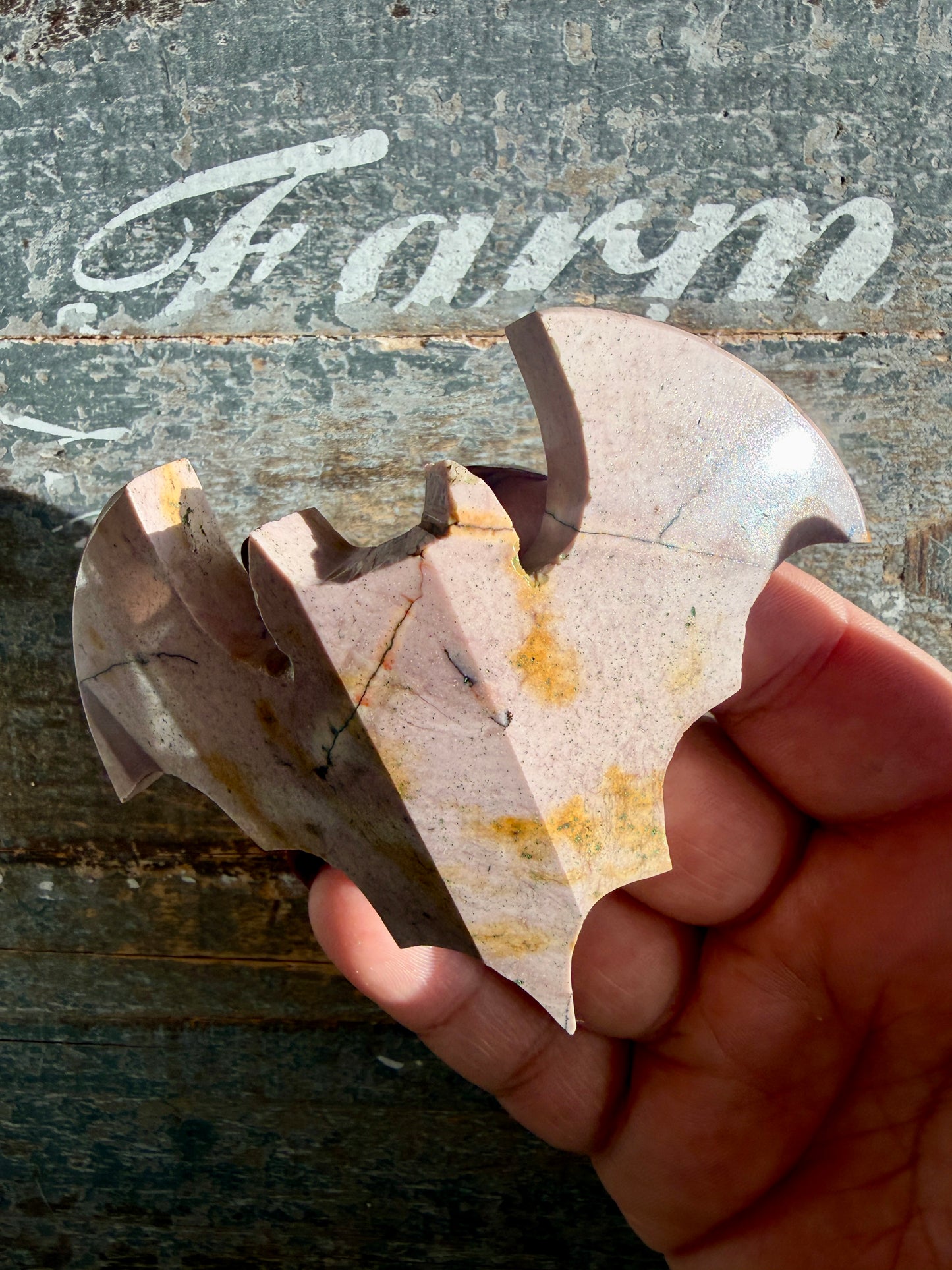 Spooky Mookaite Bat | Australia | Opt G