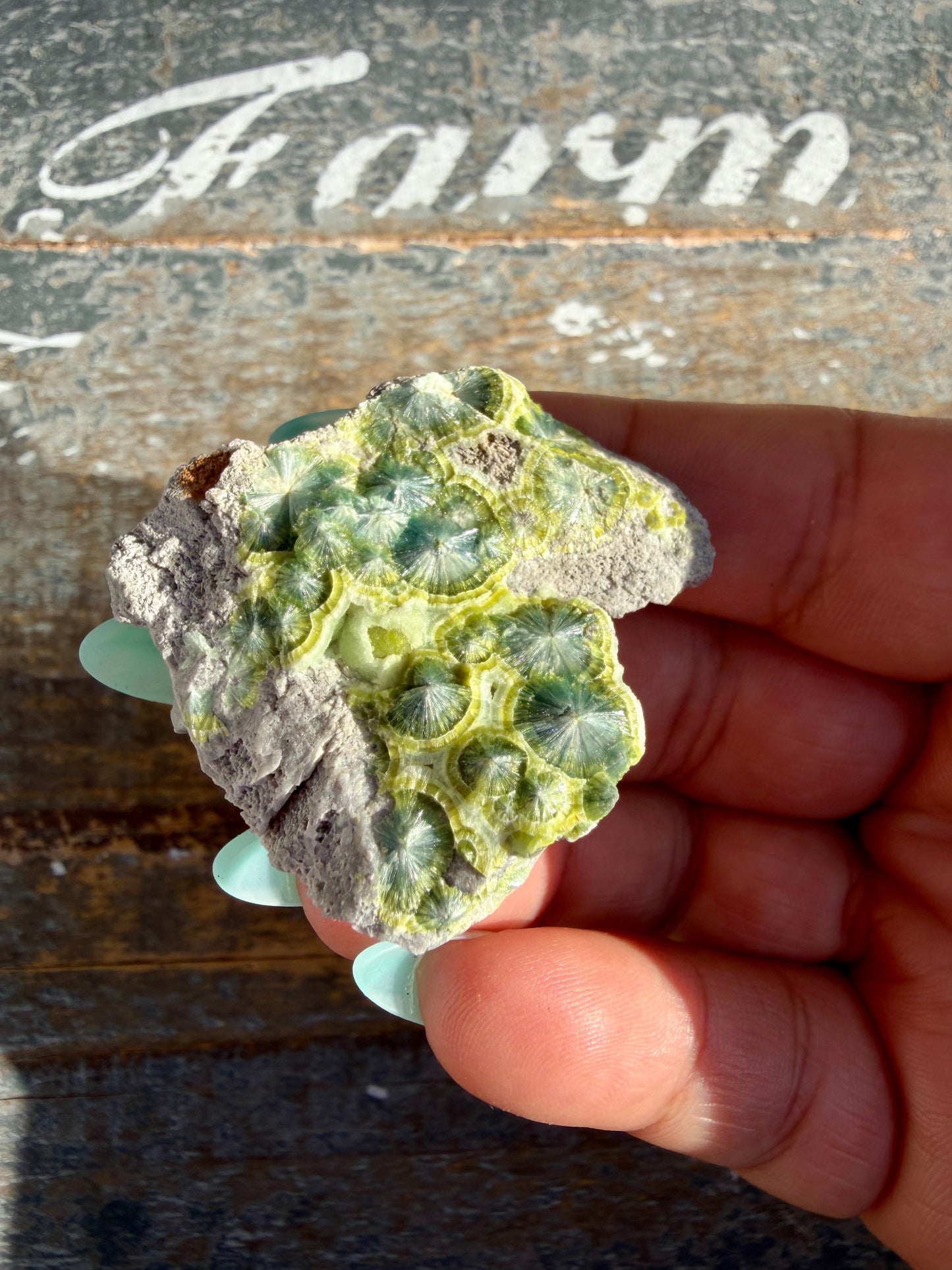 Hand-Mined Wavellite | Arkansas | Crystal Collector Find | Opt D
