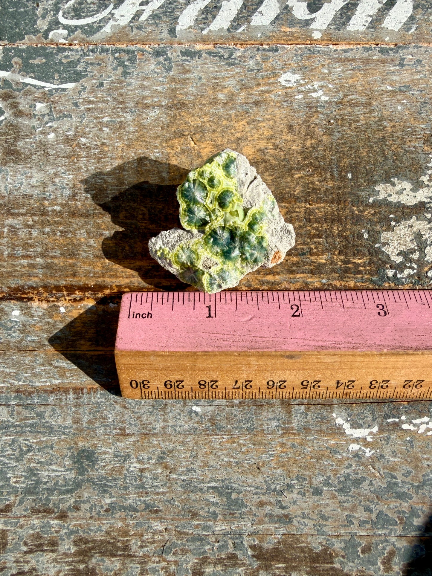 Hand-Mined Wavellite | Arkansas | Crystal Collector Find | Opt D