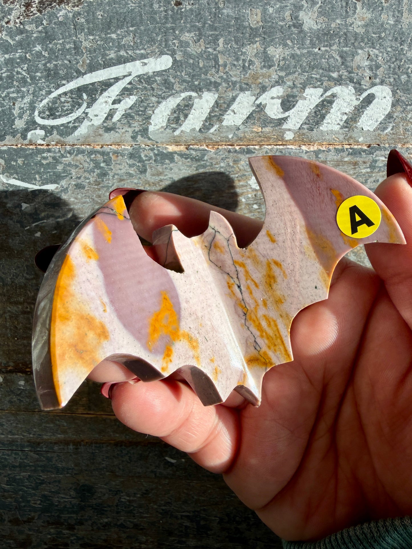 Spooky Mookaite Bat | Australia | Opt A