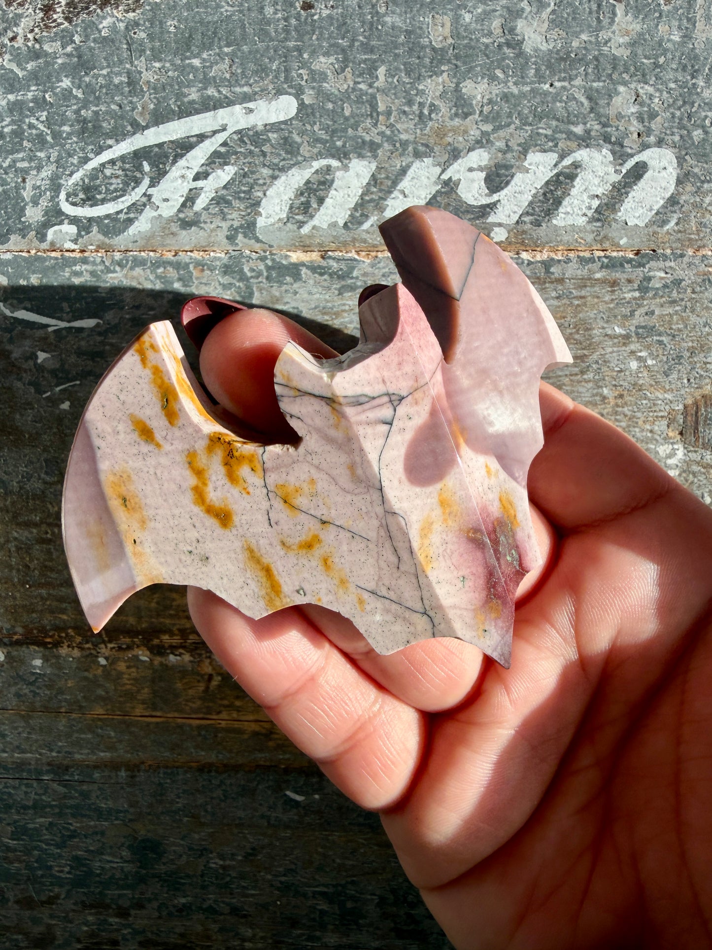 Spooky Mookaite Bat | Australia | Opt A