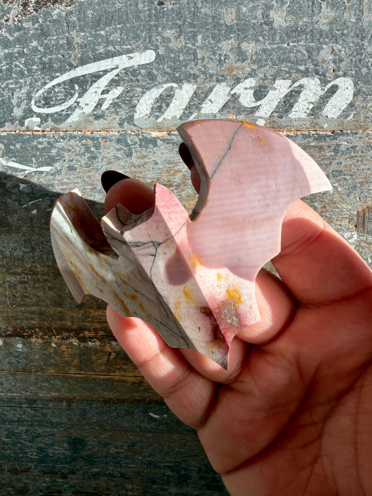 Spooky Mookaite Bat | Australia | Opt A