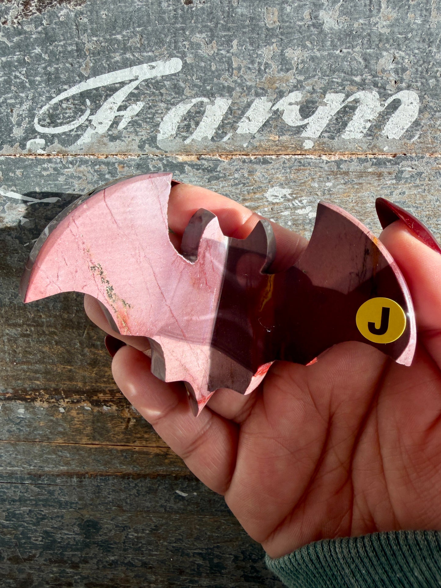 Spooky Mookaite Bat | Australia | Opt J