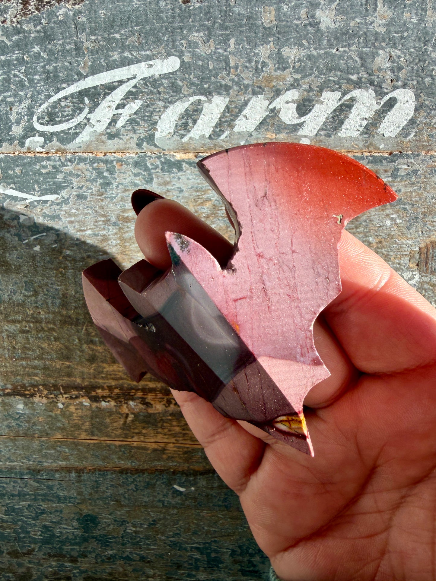 Spooky Mookaite Bat | Australia | Opt J