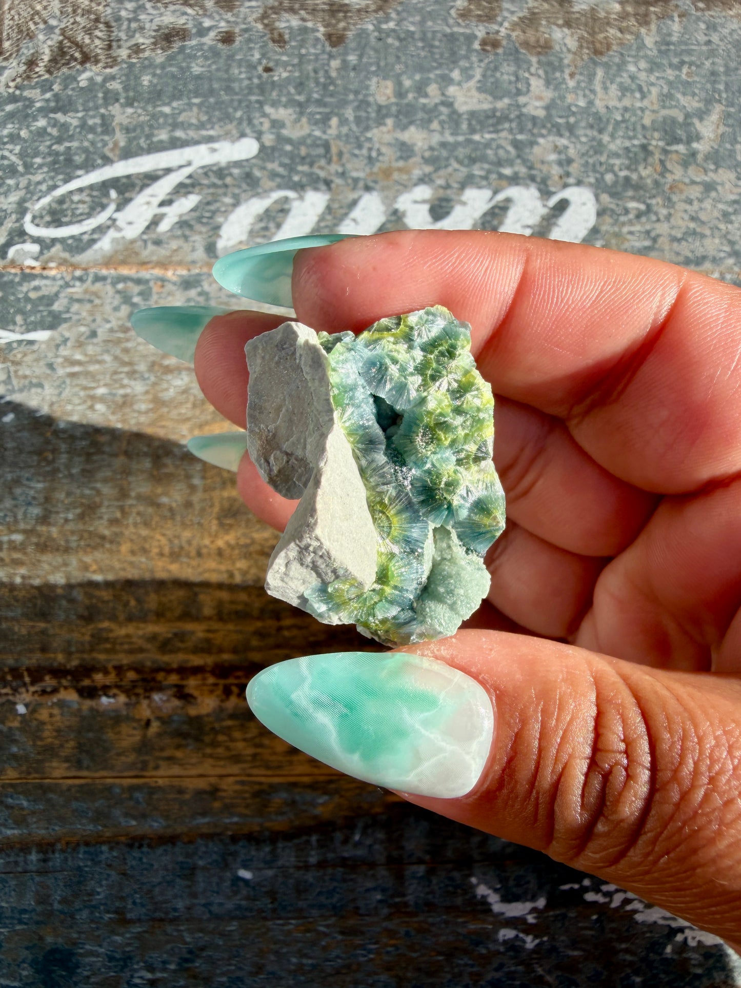 Hand-Mined Wavellite | Arkansas | Crystal Collector Find | Opt A