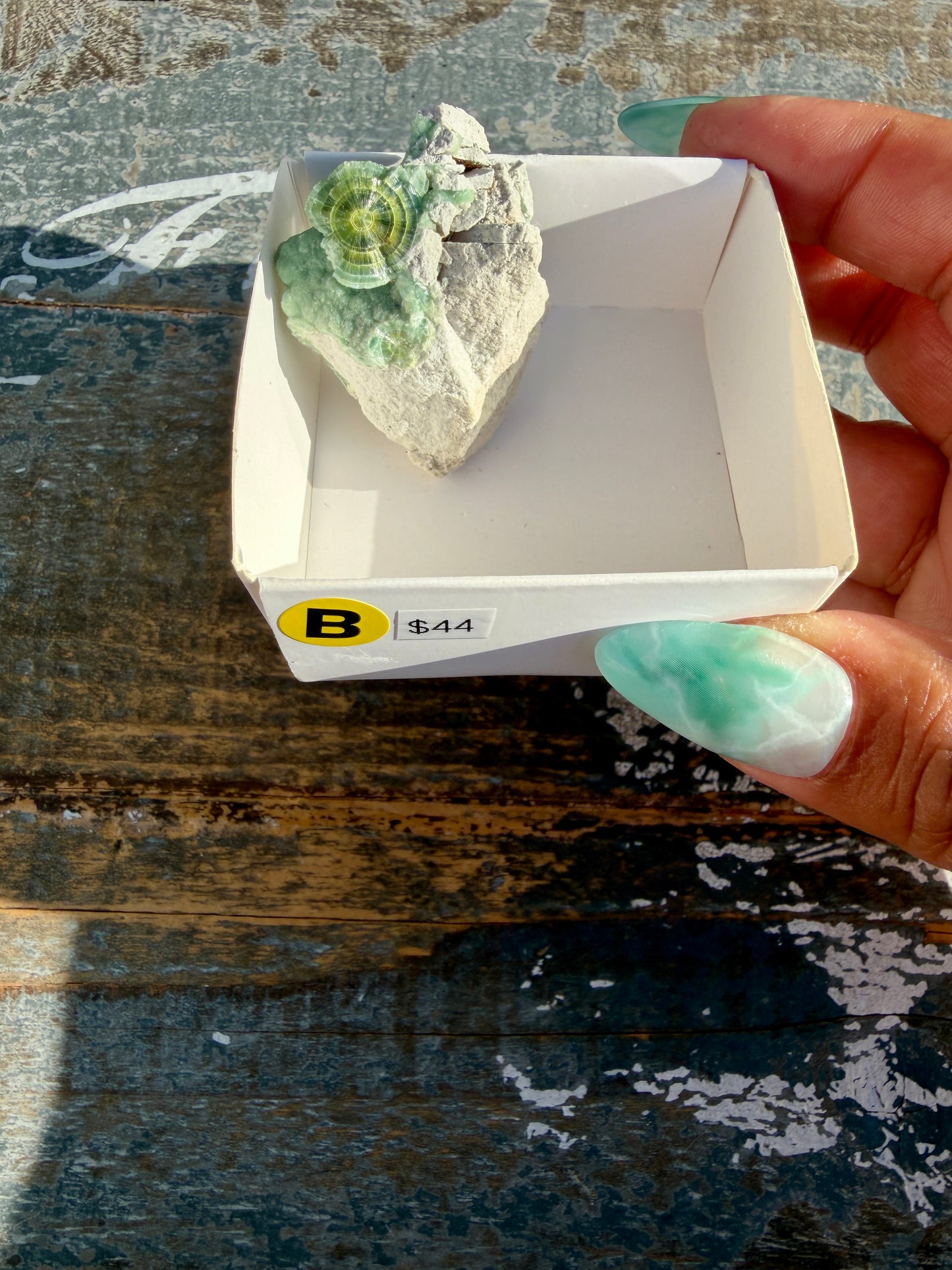Hand-Mined Wavellite | Arkansas | Crystal Collector Find | Opt B