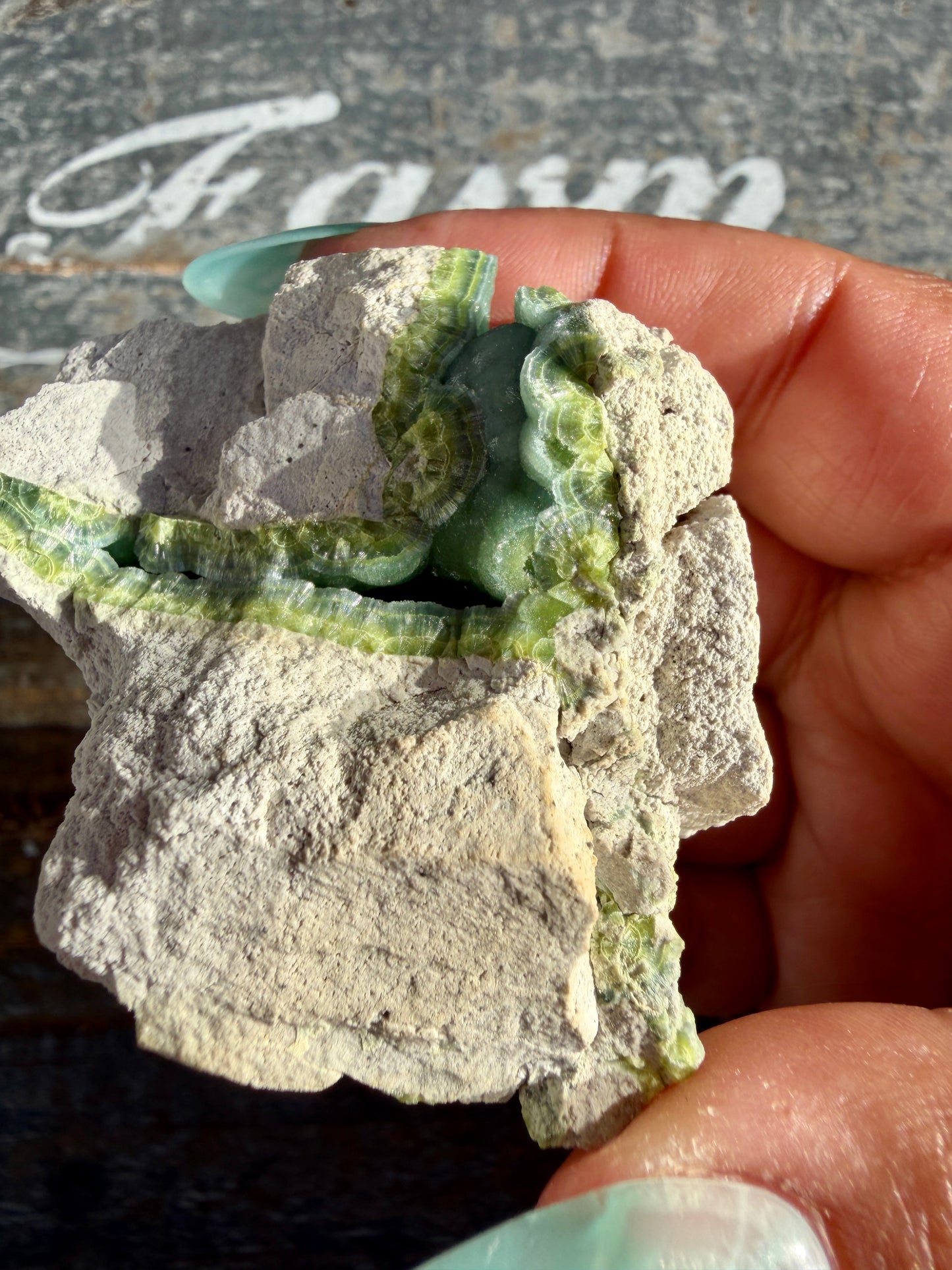 Hand-Mined Wavellite | Arkansas | Crystal Collector Find | Opt A