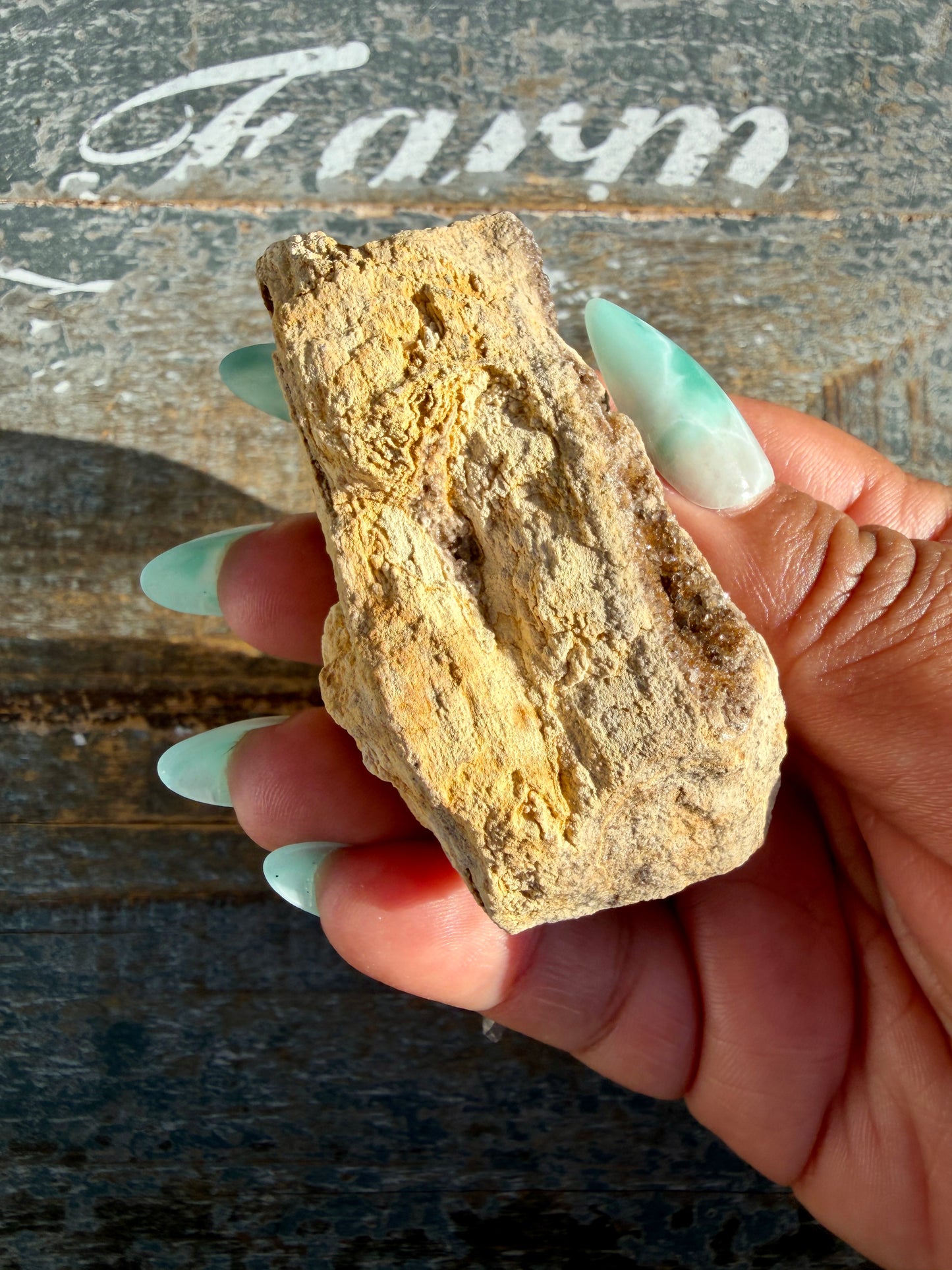 Hand-Mined Brillant Wood | Alabama | Crystal Collector Find | Opt H