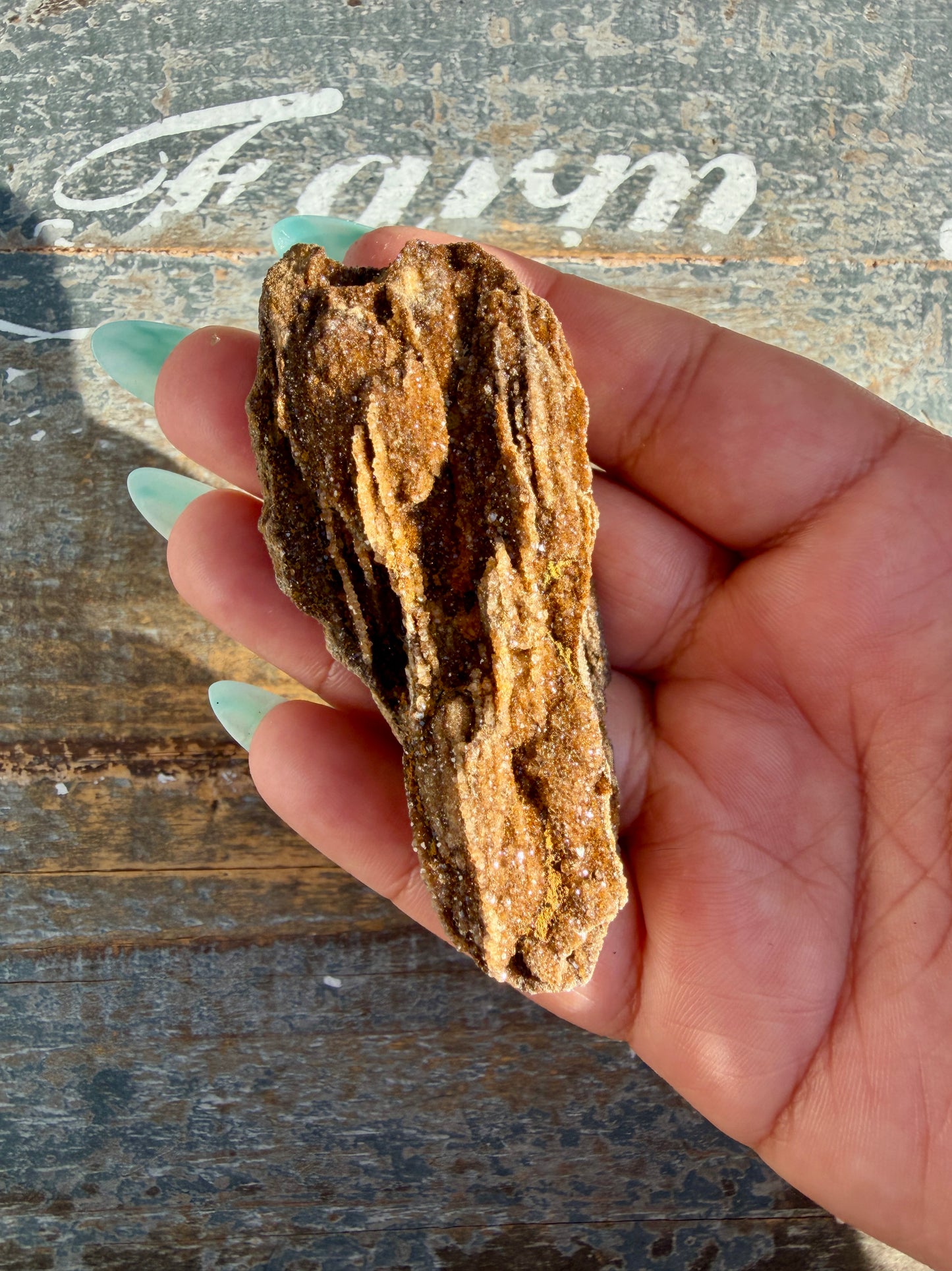 Hand-Mined Brillant Wood | Alabama | Crystal Collector Find | Opt G
