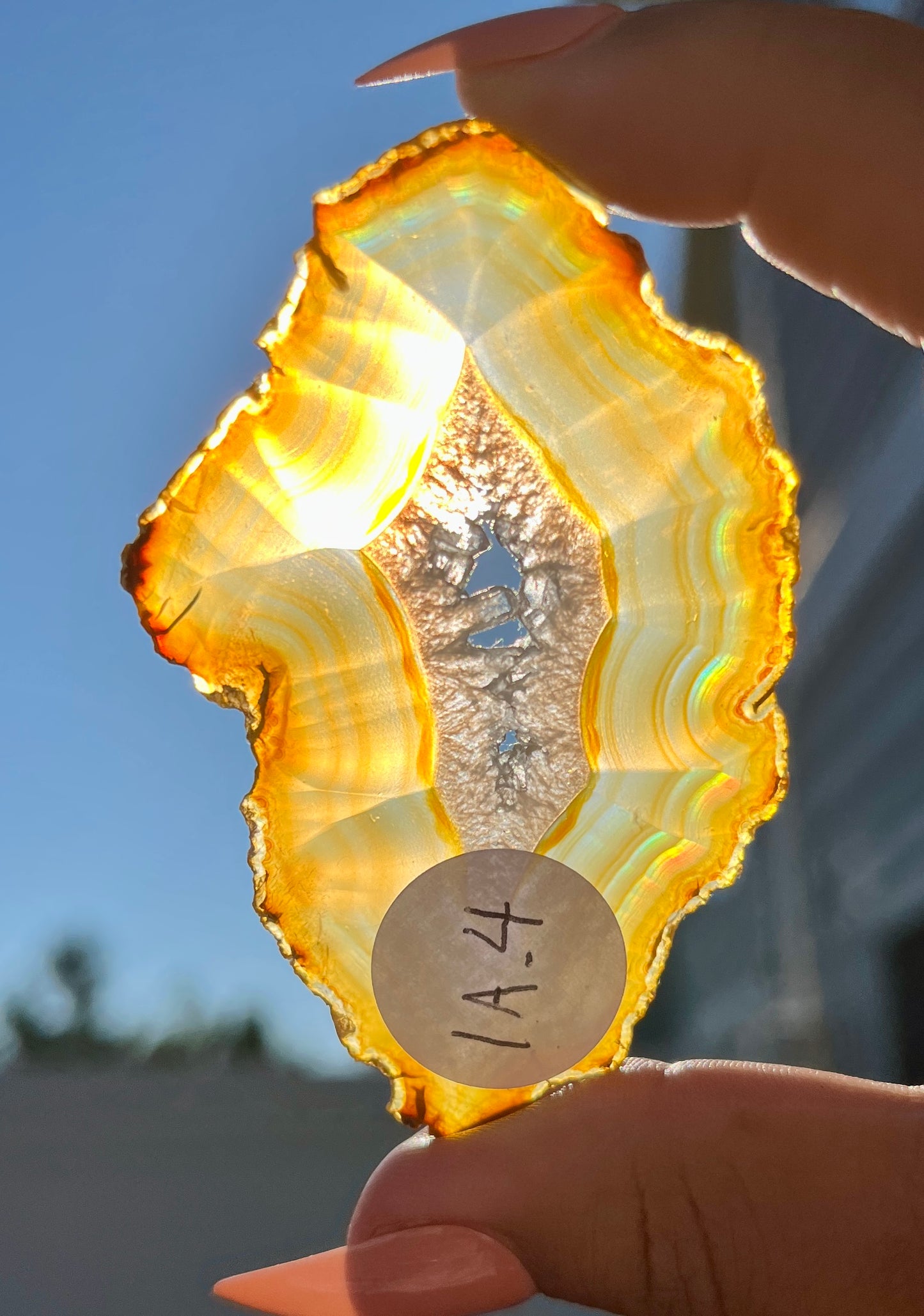 Gorgeous Iris Agate Slab with Holo Rainbow Flash from Indonesia