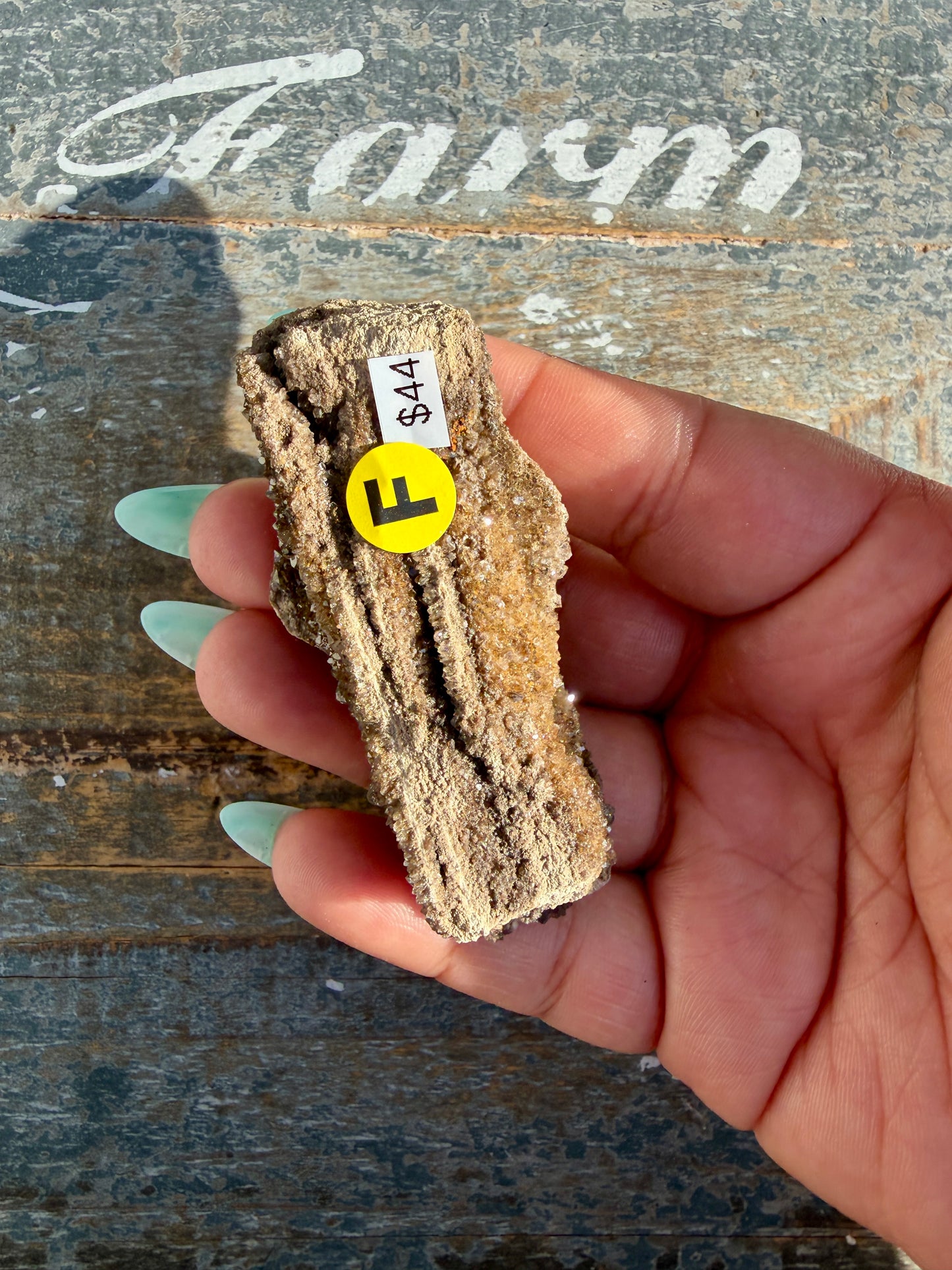 Hand-Mined Brillant Wood | Alabama | Crystal Collector Find | Opt F