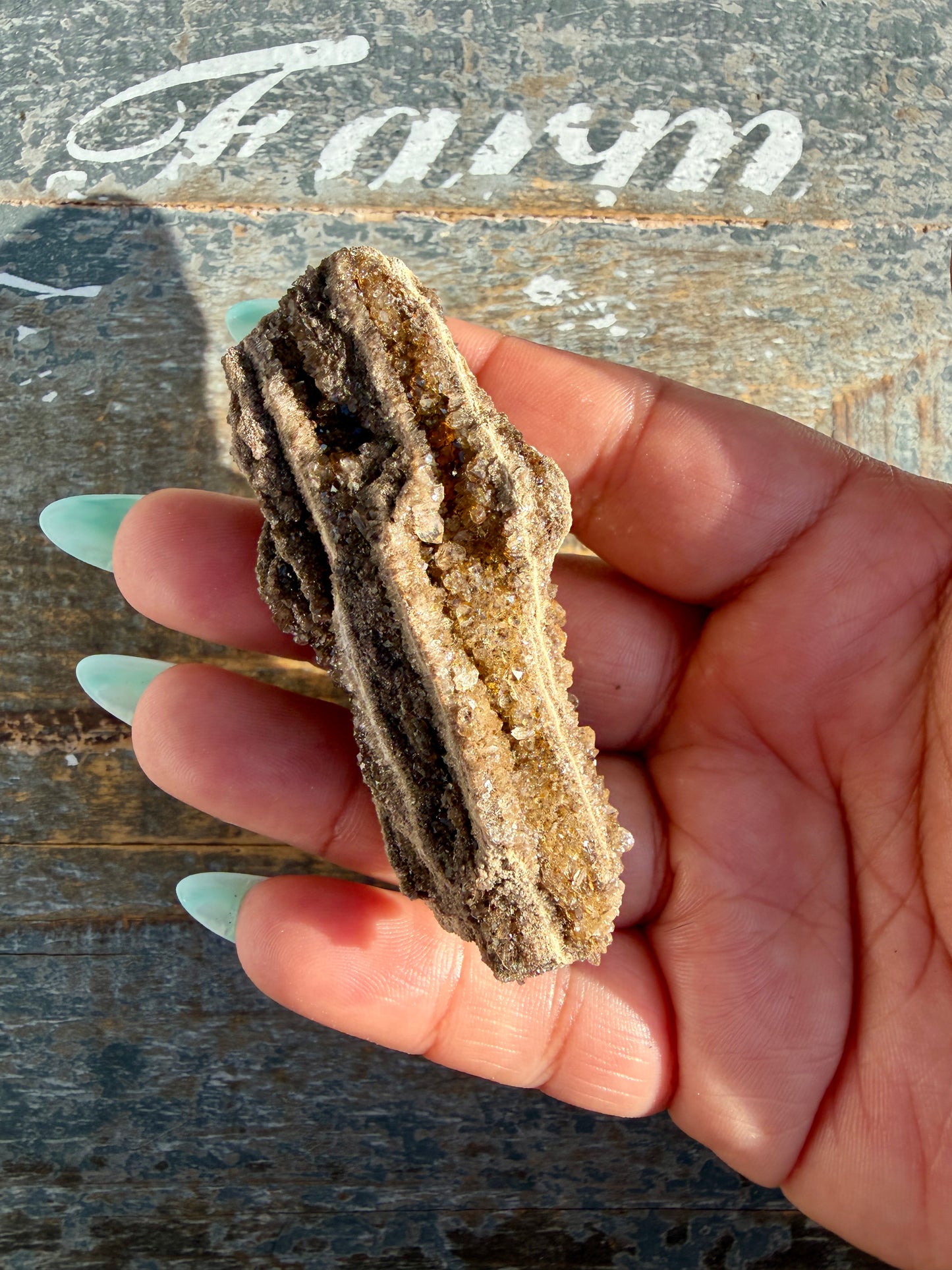 Hand-Mined Brillant Wood | Alabama | Crystal Collector Find | Opt F