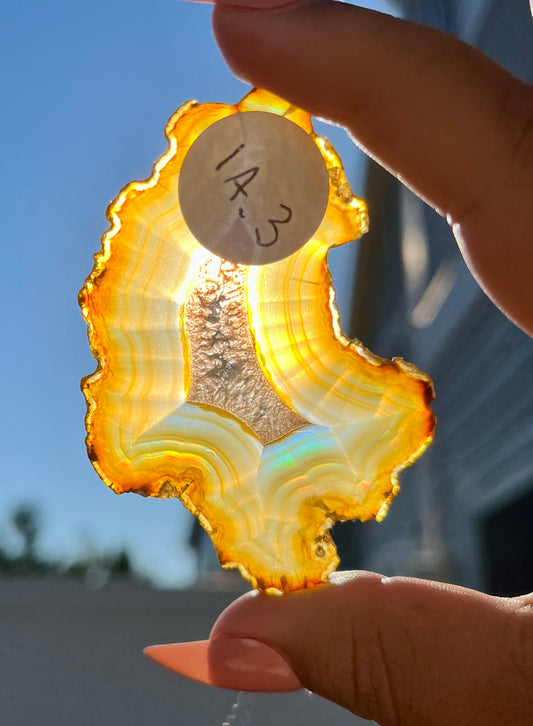 Gorgeous Iris Agate Slab with Holo Rainbow Flash from Indonesia