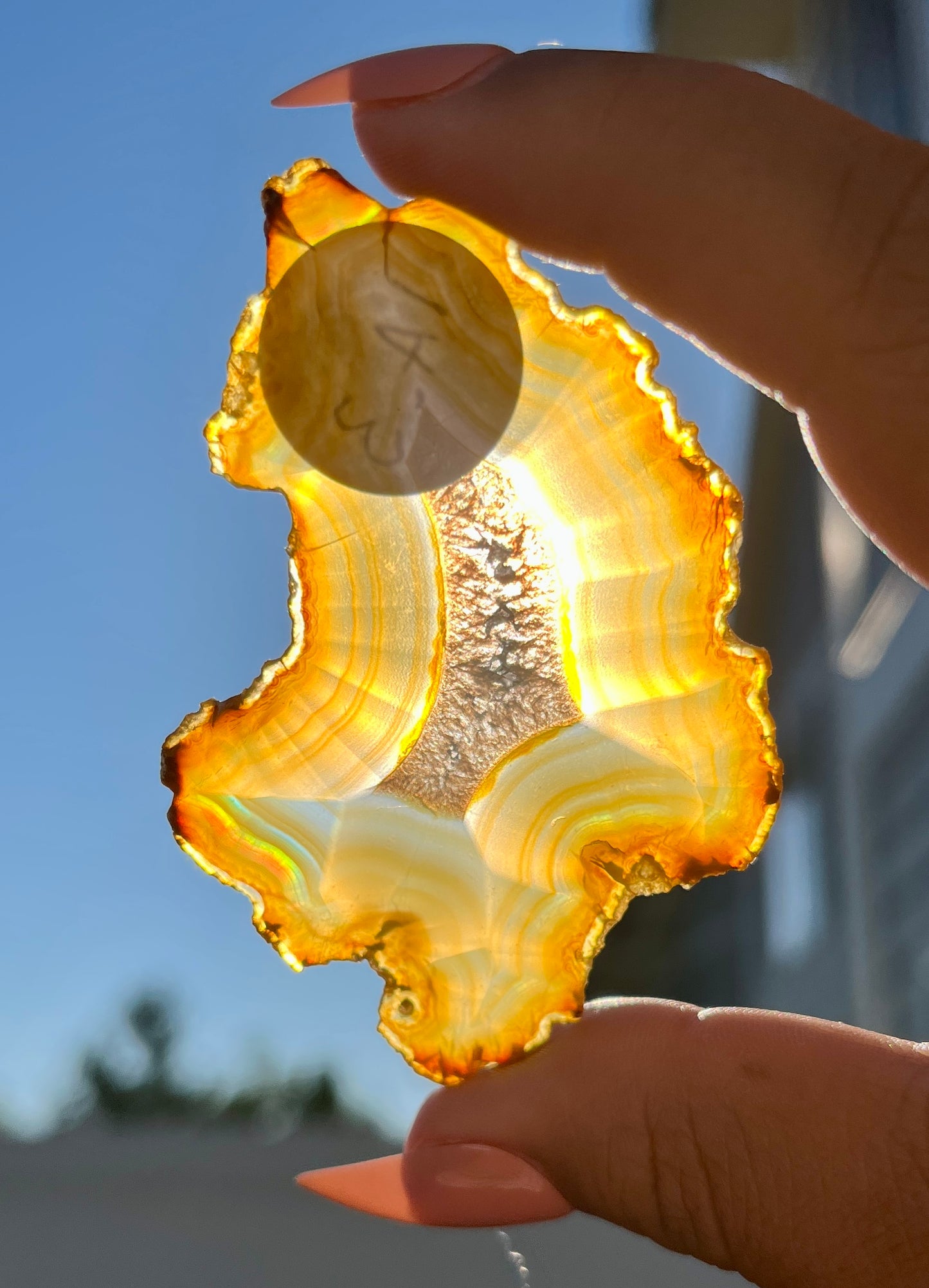 Gorgeous Iris Agate Slab with Holo Rainbow Flash from Indonesia