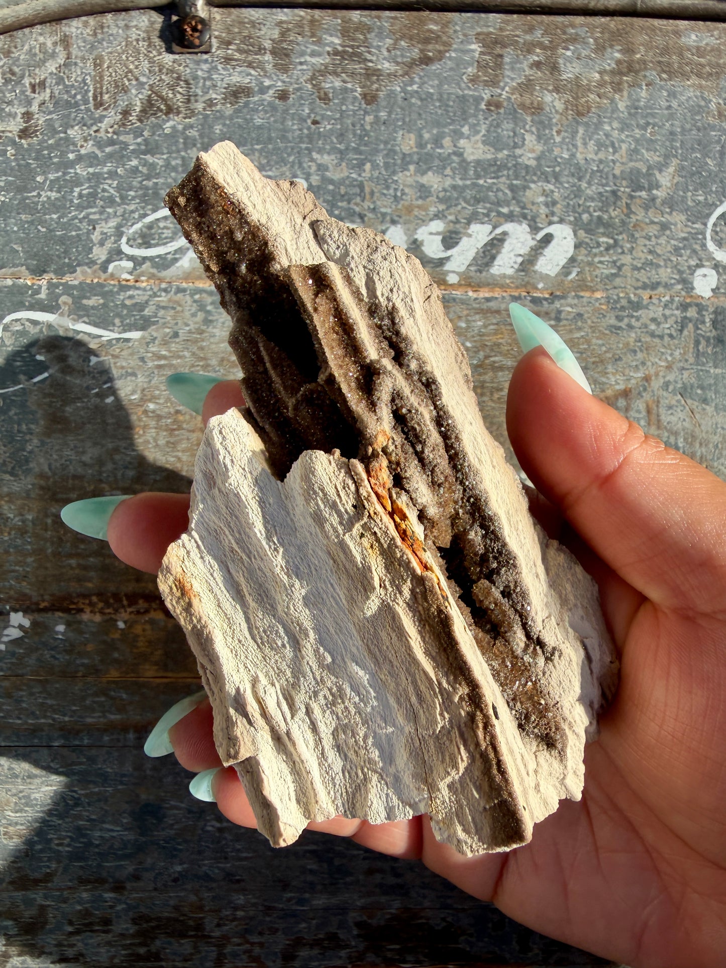 Hand-Mined Brillant Wood | Alabama | Crystal Collector Find | Opt C