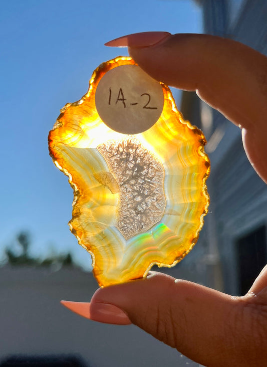 Gorgeous Iris Agate Slab with Holo Rainbow Flash from Indonesia