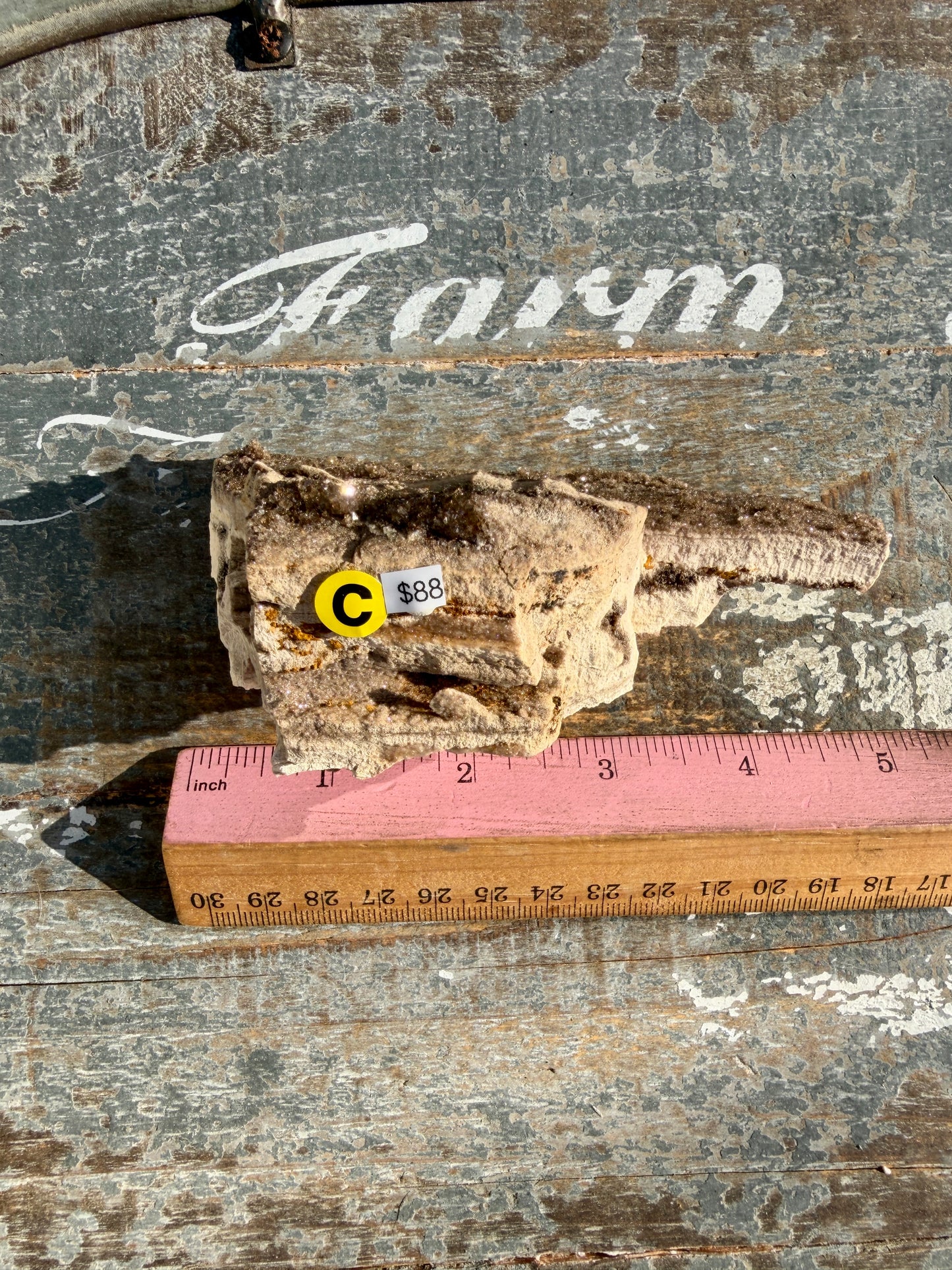 Hand-Mined Brillant Wood | Alabama | Crystal Collector Find | Opt C